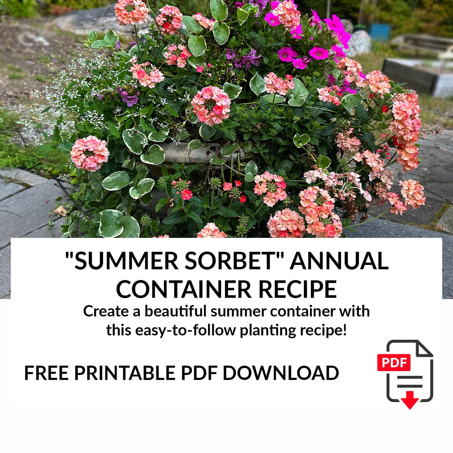 Free PDF Download: "Summer Sorbet" Annual Container Recipe (Printable PDF)